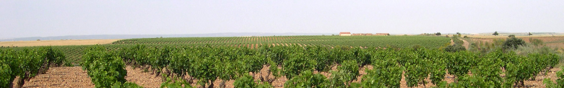 乌尔贝索古居酒庄。佳丽酿受保护原产地品名，萨拉戈萨（西班牙）。